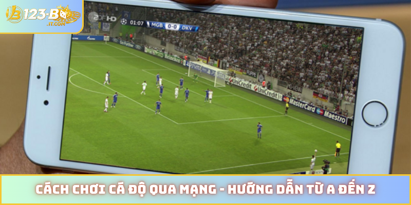 Cách chơi cá độ qua mạng