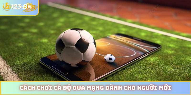 Cách chơi cá độ qua mạng dành cho người mới