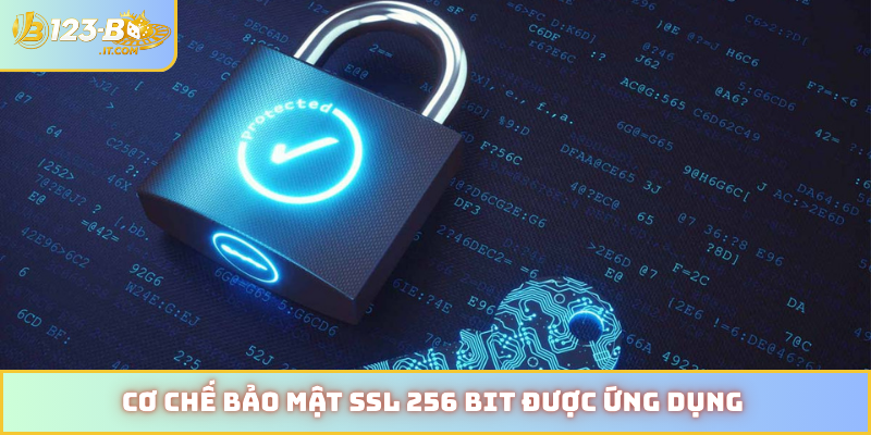 Cơ chế bảo mật SSL 256 bit được ứng dụng
