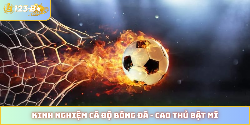 Kinh nghiệm cá độ bóng đá
