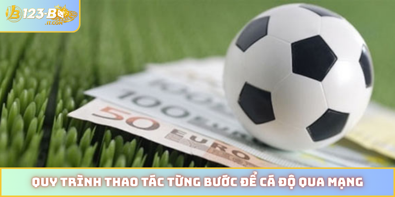 Quy trình thao tác từng bước để cá độ qua mạng